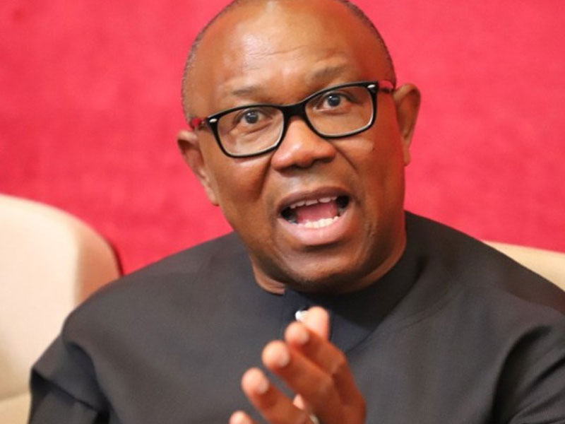 Former governor of Anambra State and presidential candidate of the Labour Party, Peter Obi