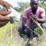 Northern Nigeria Farmers