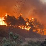 Turkey Wildfire
