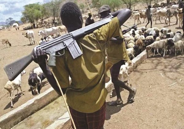 Enugu and Benue Insecurity