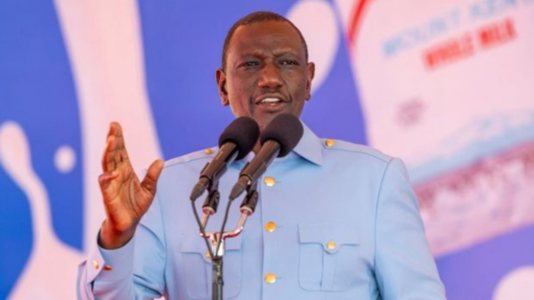 Kenyan Govt. Orders Mandatory Basic Firearm Training For NYS Officers