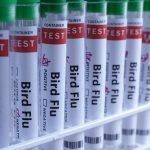 Bird Flu Australia