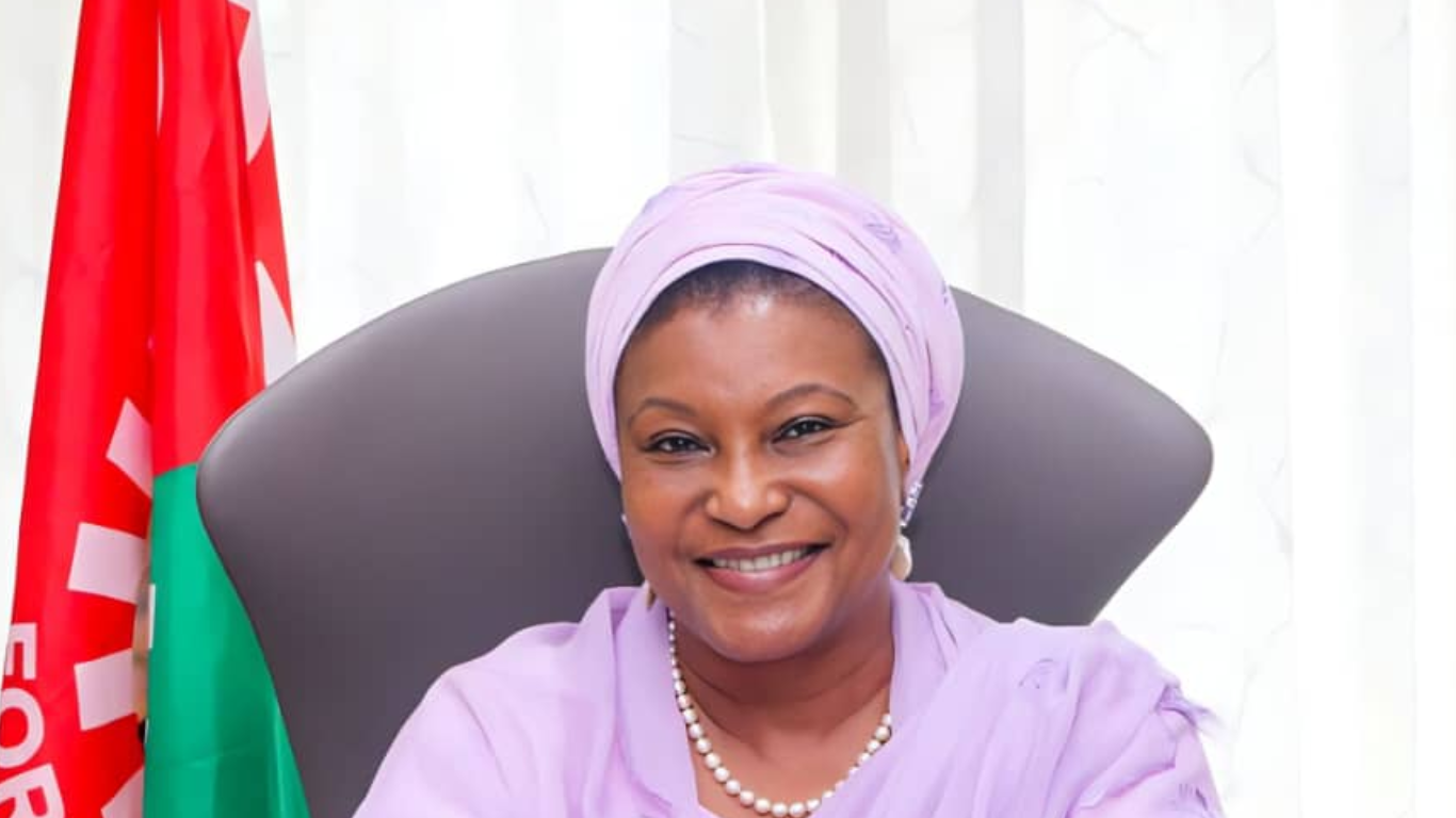 LP Senator Ireti Decries Marginalisation in FCT Senate Committee