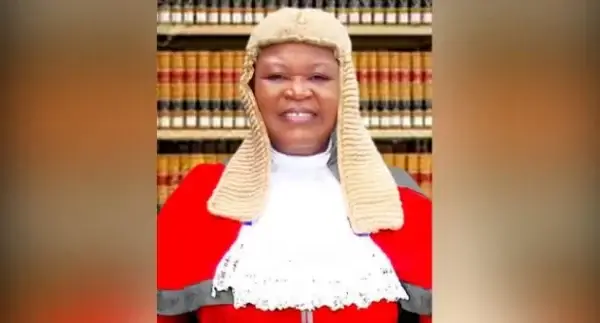 The Chief Judge of Imo State, Justice Theresa Chukwuemeka-Chikeka, has obtained an interim injunction against the Imo State House of Assembly and other defendants regarding allegations of age falsification.