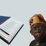 Tinubu's Cabinet Signed 20-Year Samoa Agreement Without National Assembly Members Approval - Sonnie Ekwowusi