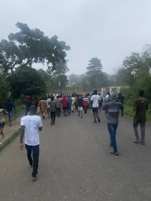 Ongoing at the University of Ibadan is a protest by students voicing their dissatisfaction with the recent changes in power supply, announced by the university management.