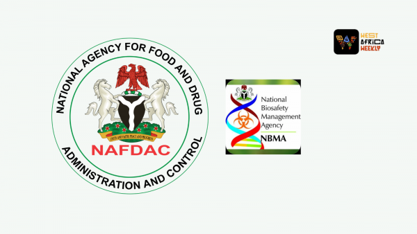 We Do Not Have Evidence To Prove GMOs Are Safe For Human Consumption - NAFDAC