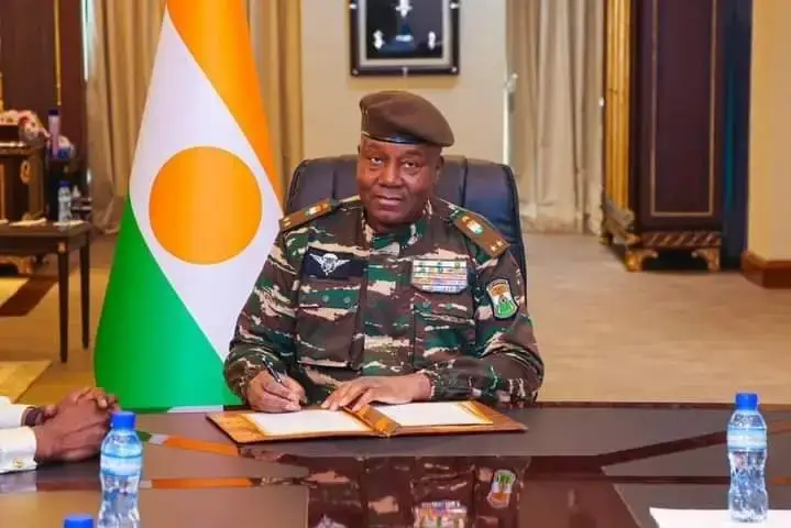 Niger official language