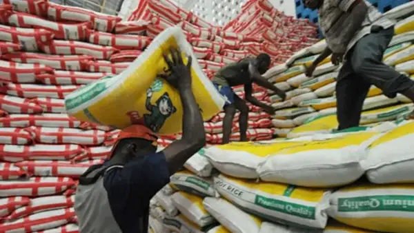 Nigerian Govt Withdraws Plan To Sell 50Kg Rice For Public Servants At N40,000