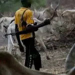 Herdsmen Farmer Killed Ondo