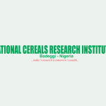 Nigeria's Cereals Research Institute Allocates ₦100m To Construct Golf Course Road, Other Projects Outside Its Mandate