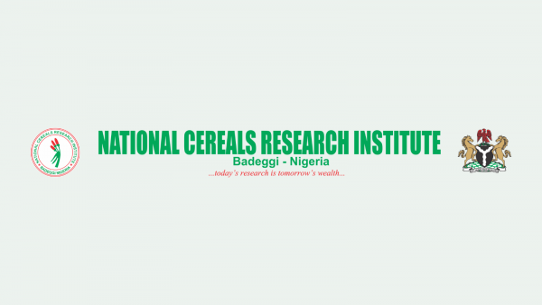 Nigeria's Cereals Research Institute Allocates ₦100m To Construct Golf Course Road, Other Projects Outside Its Mandate