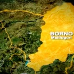 Flood Borno Cholera Outbreak