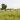 Burkina Fasos Yatenga Province Anticipates Over 80 Tons of Rice Harvest as Security Improves