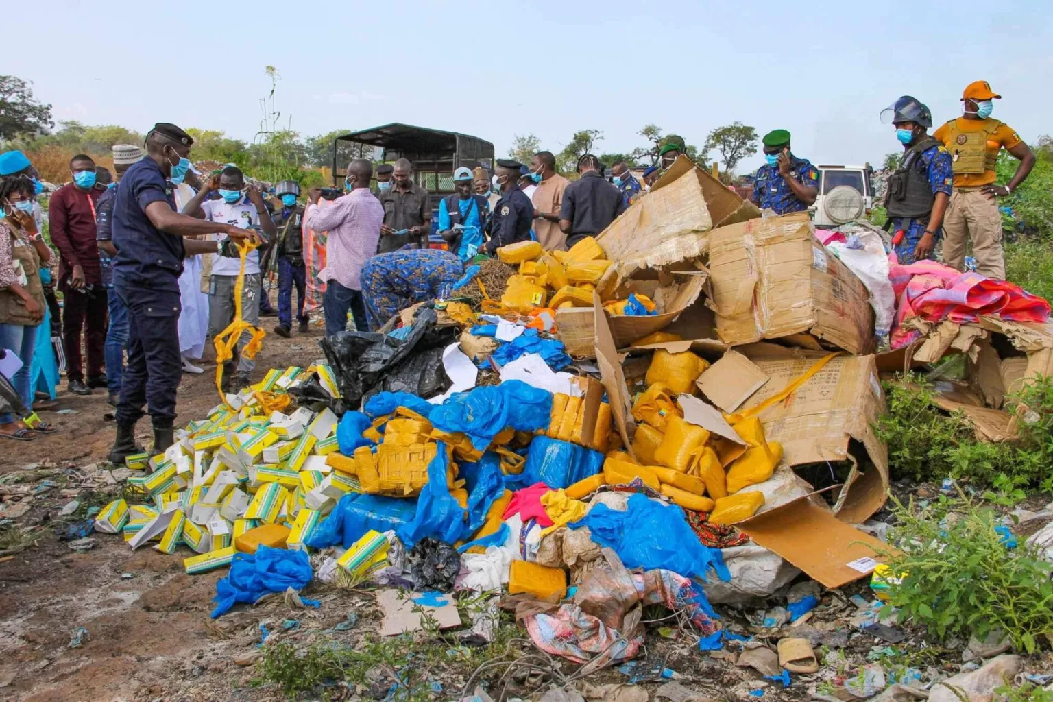 Kankan Authorities Indian Hemp