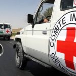 Niger and Red Cross