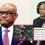EXCLUSIVE: Wike Hides $2 Million Florida Mansion Under Wife and Childrens’ Names, With Documents Exposing His Nigerian Judge Wife as a U.S. Democrat Member