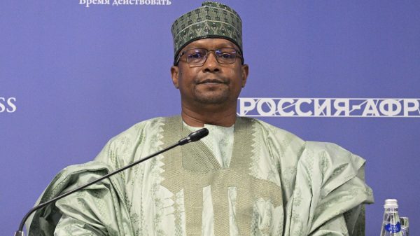 Niger to Construct Two 2,000-Megawatt Nuclear Reactors With Russia's Rosatom