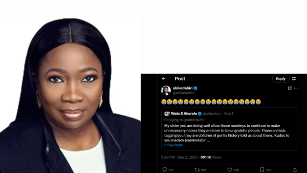 NiDCOM Boss Abike Dabiri-Erewa Amplifies Ethnic Slur Against Nigeria’s Igbo Group