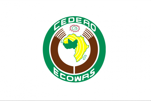 ECOWAS Moves Forward With Plan for Single West African Currency